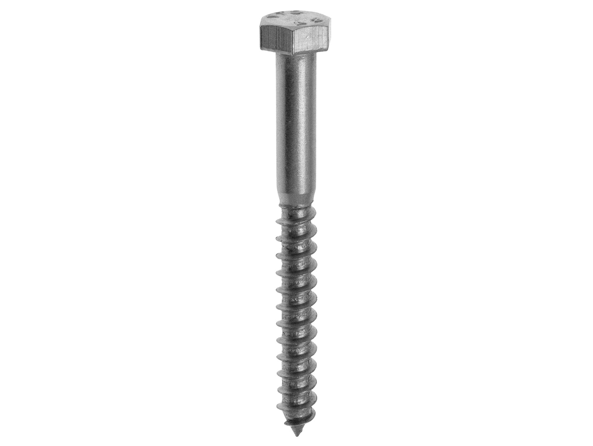 Tirefond Inox A2 Ø10 L.100 x10