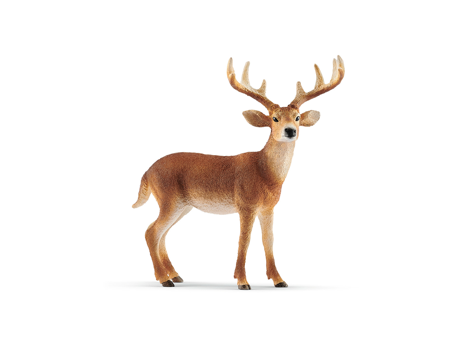 Figurine Cerf de Virginie SCHLEICH