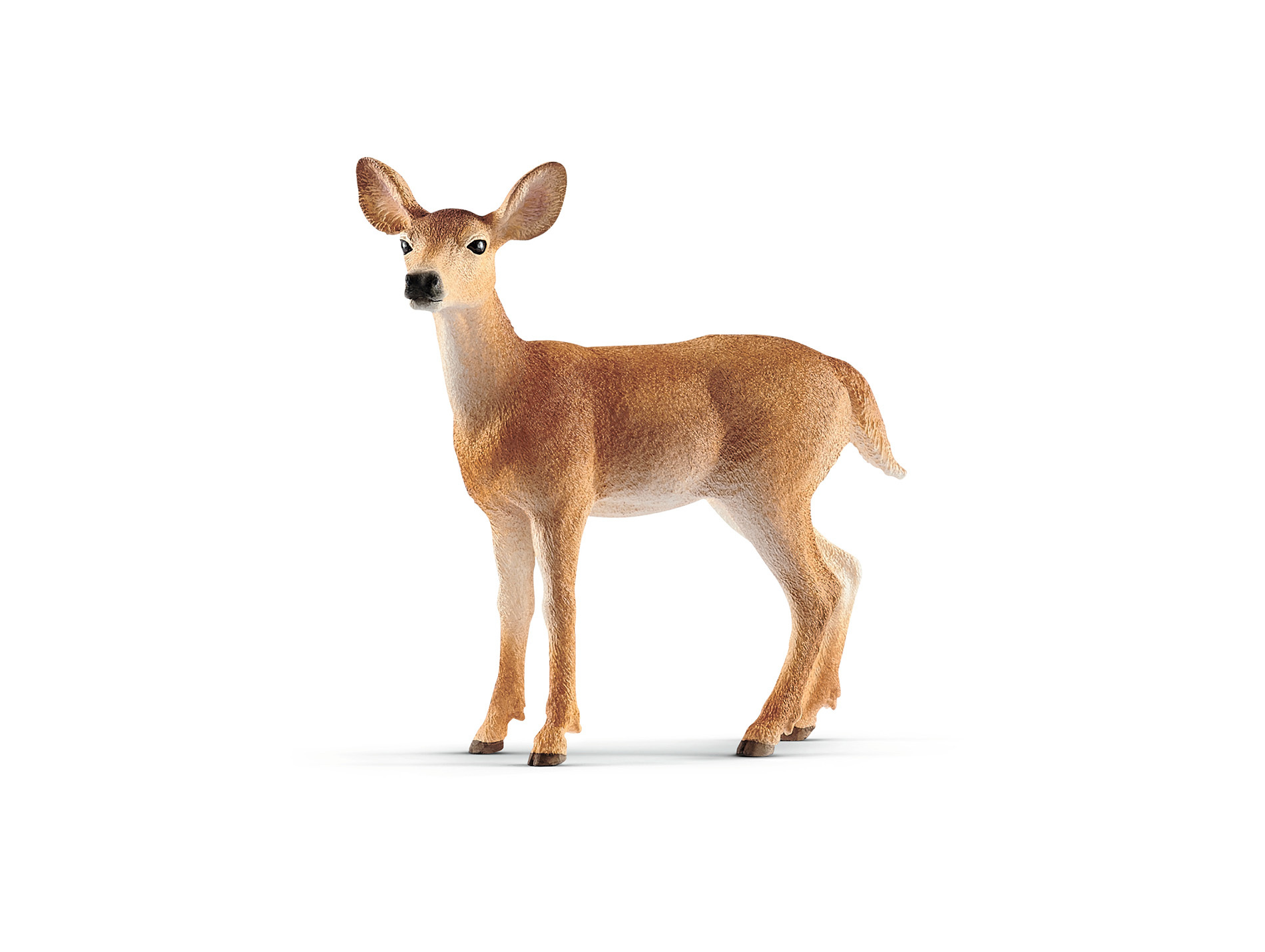 Figurine Biche de Virginie SCHLEICH