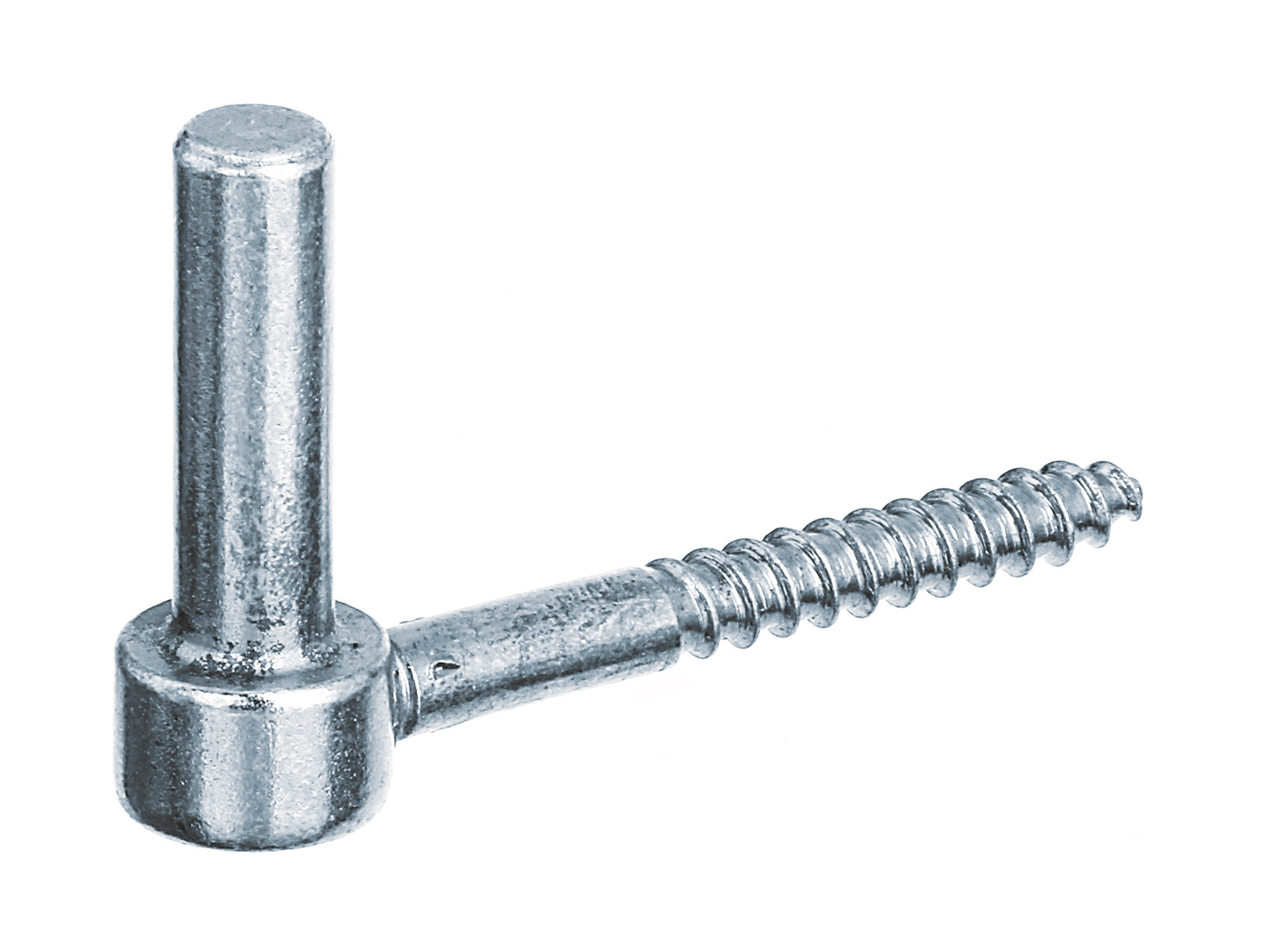 Gond à visser inox ø13 155mm GAH ALBERTS