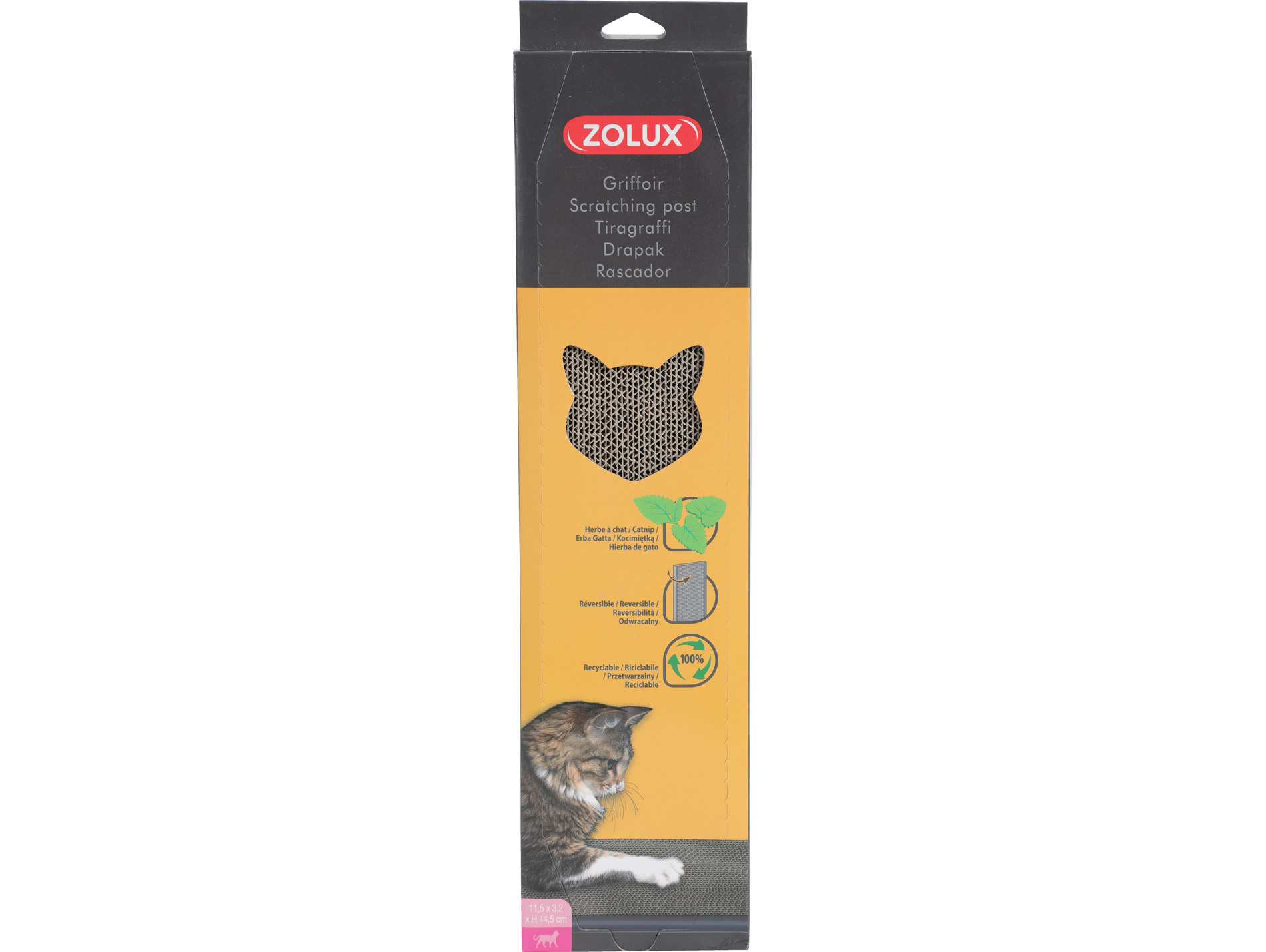Griffoir en carton Catnip