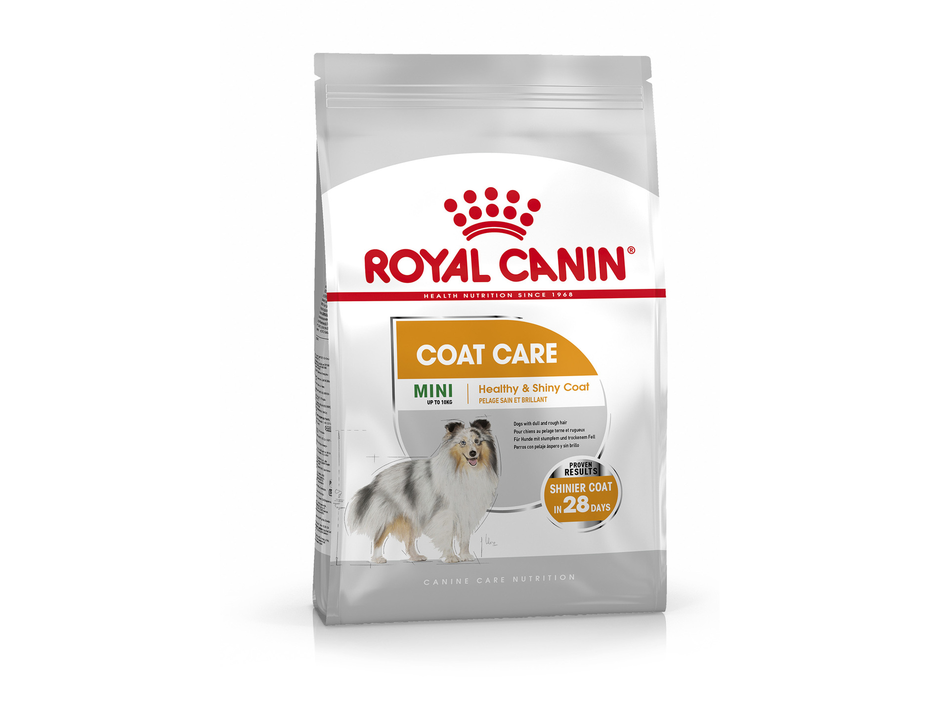 Mousse Yorkshire Terrier adulte ROYAL CANIN 12x85g