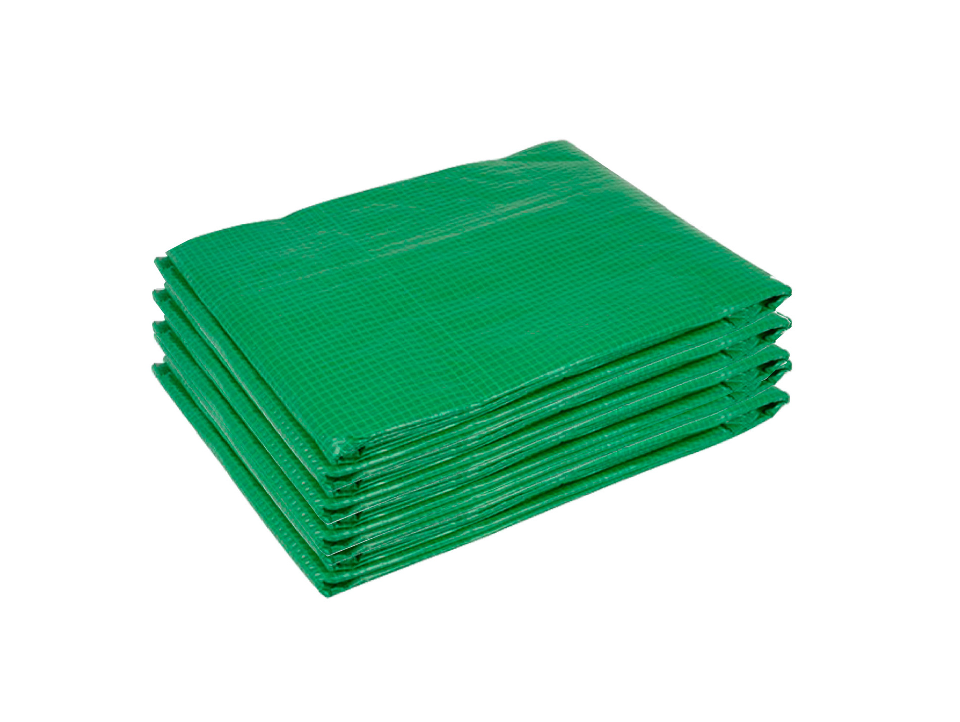 Bâche polyéthylène FORESTA SRA 3060 3x6m pour serre
