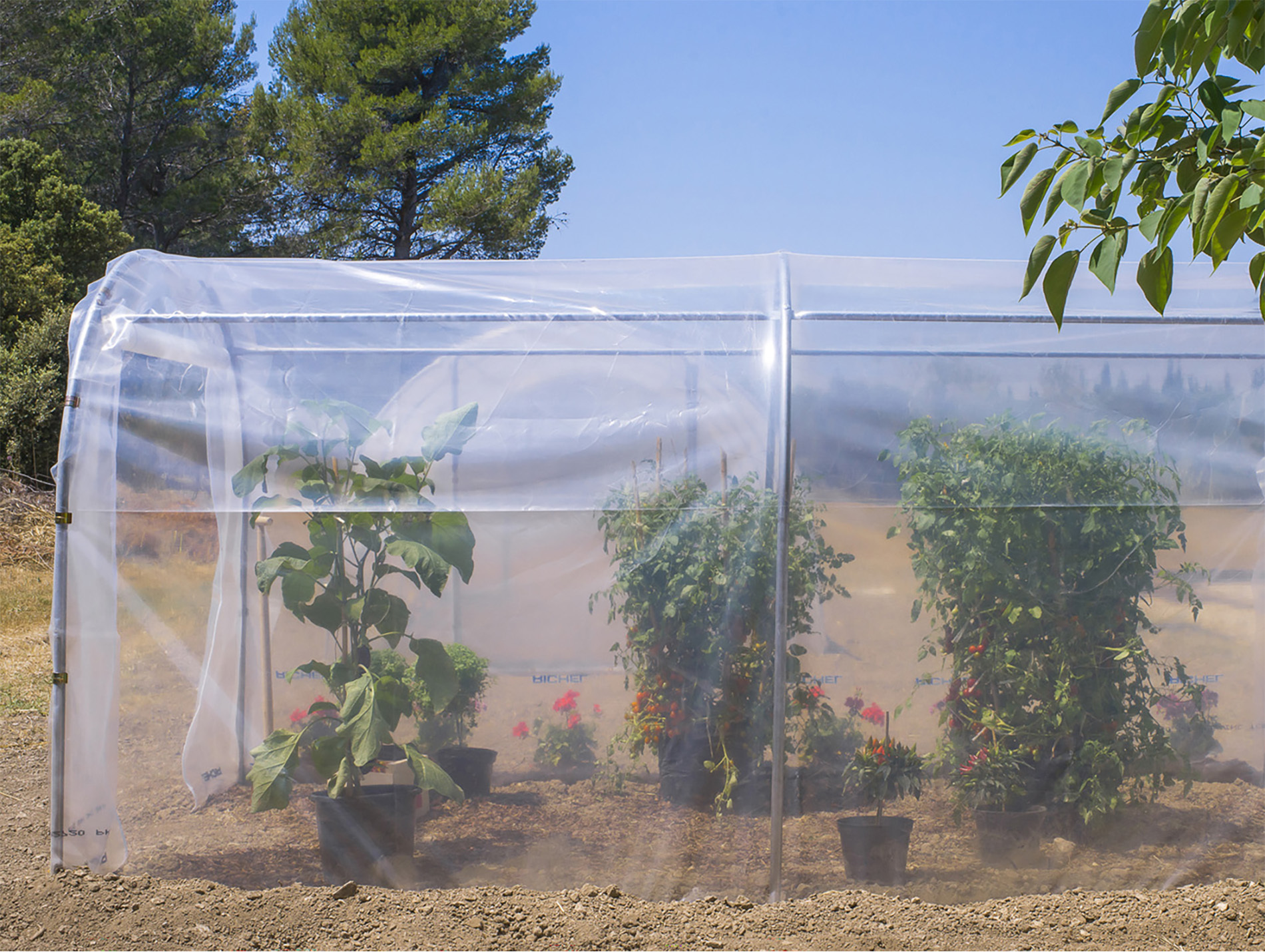 Film polyéthylène RICHEL Transparent l.6,5m - au mètre