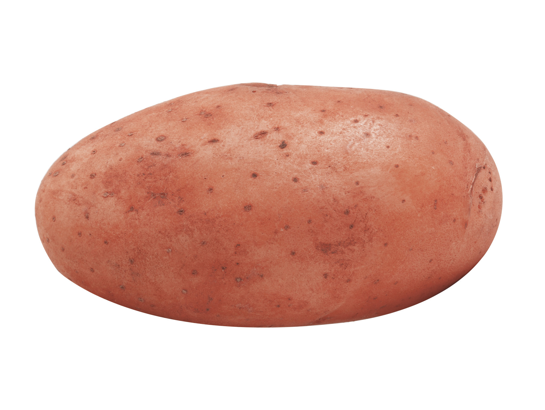 Plants de pommes de terre Alouette 28/35 1,5kg +500g OFFERTS