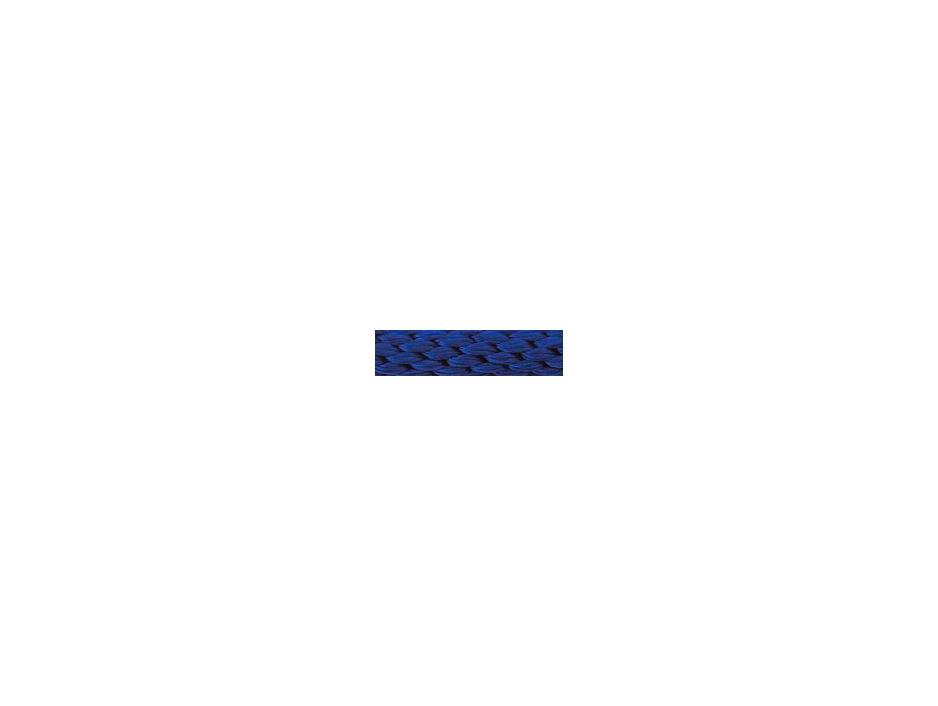Longe d'attache 2m bleu
