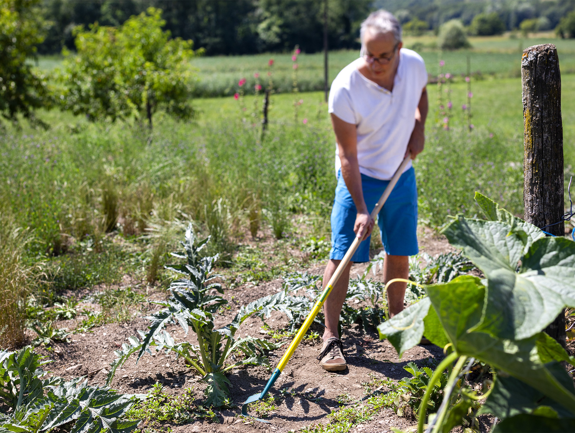 Binette LEBORGNE lame V NaturOvert manche bois