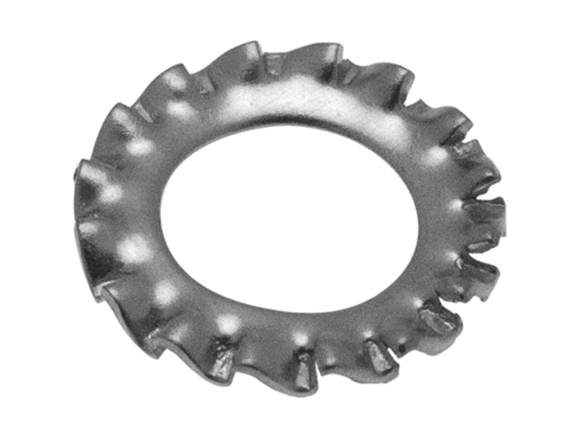 Rondelle éventail Inox A2 Ø10 x6