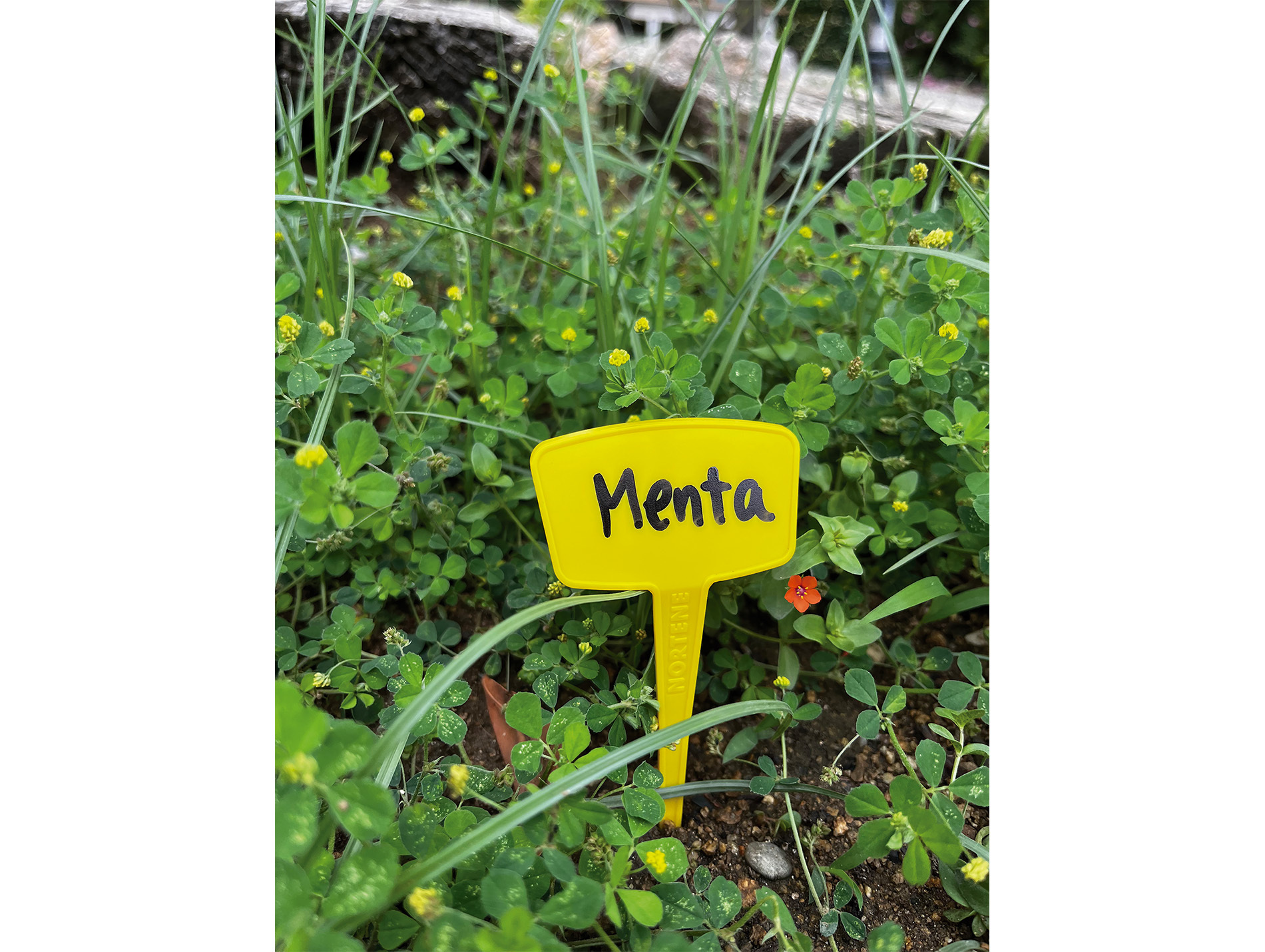 Etiquettes T à planter NORTENE L.15cm x10 jaune