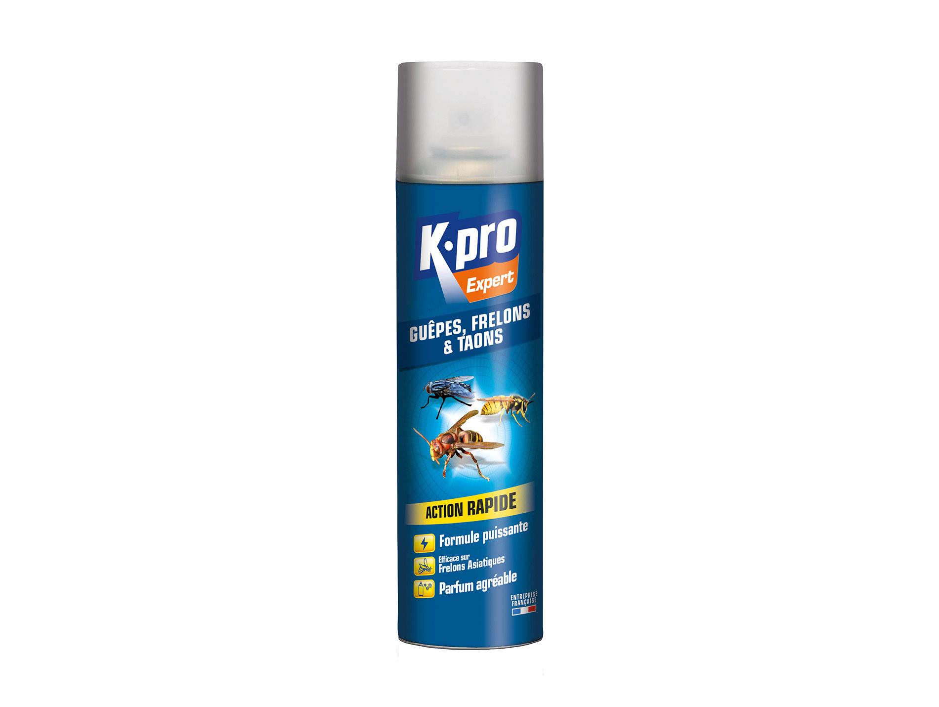 Aérosol anti guêpes et frelons KAPO Expert 400ml