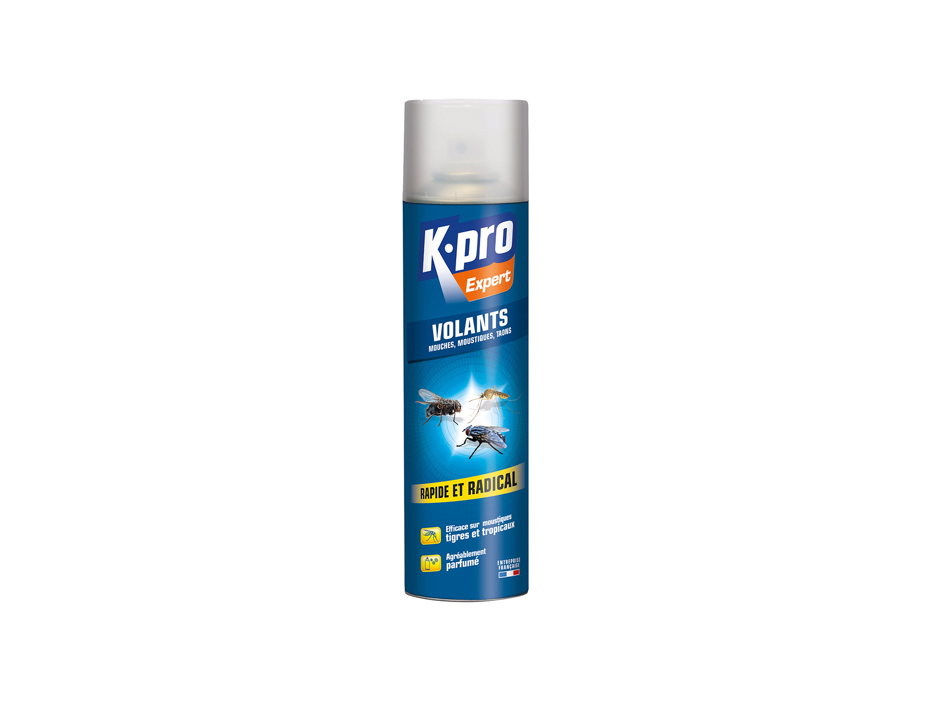 Aérosol insectes volants KAPO 400ml