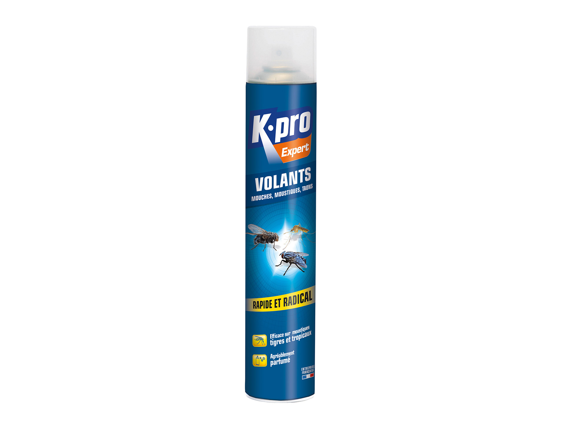 Aérosol insectes volants 750ml KAPO Expert