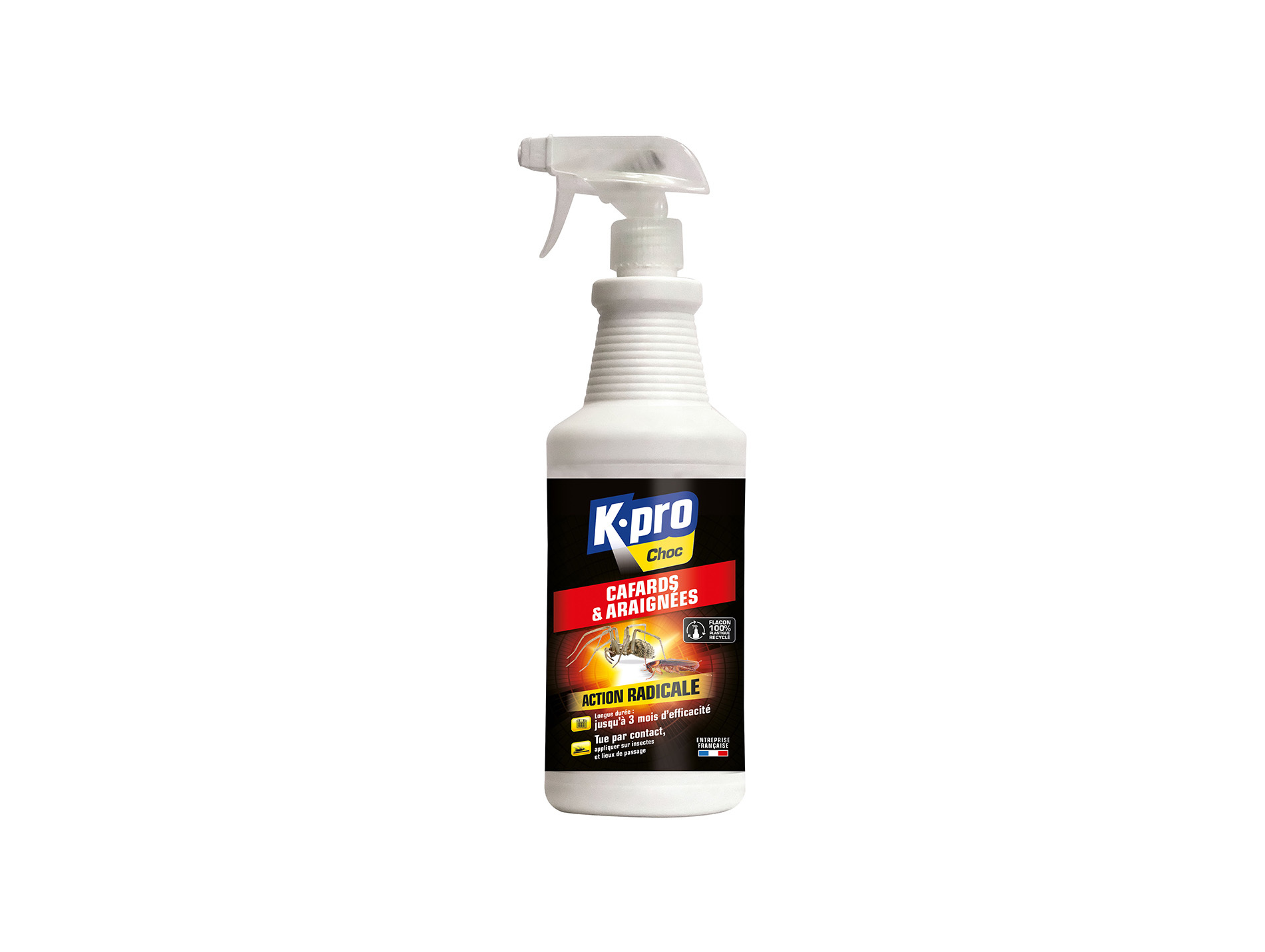 Pulvérisateur cafards et araignées KAPO 1L