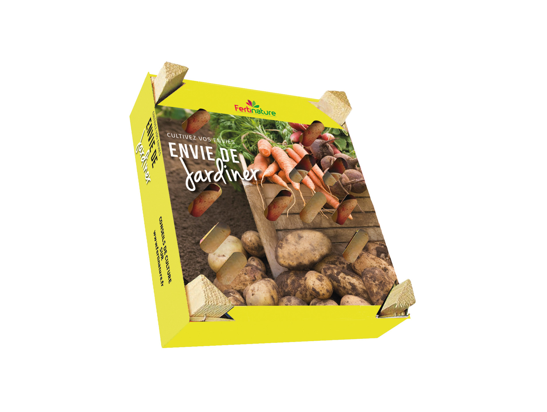 Plants de pommes de terre pack 3 variétés