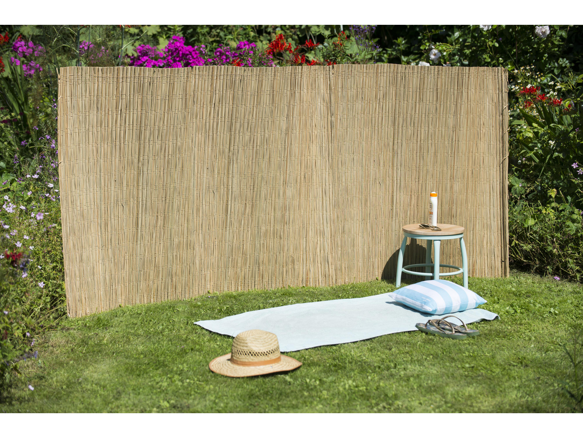 Canisse de carex naturel H.1,50mxL.3m