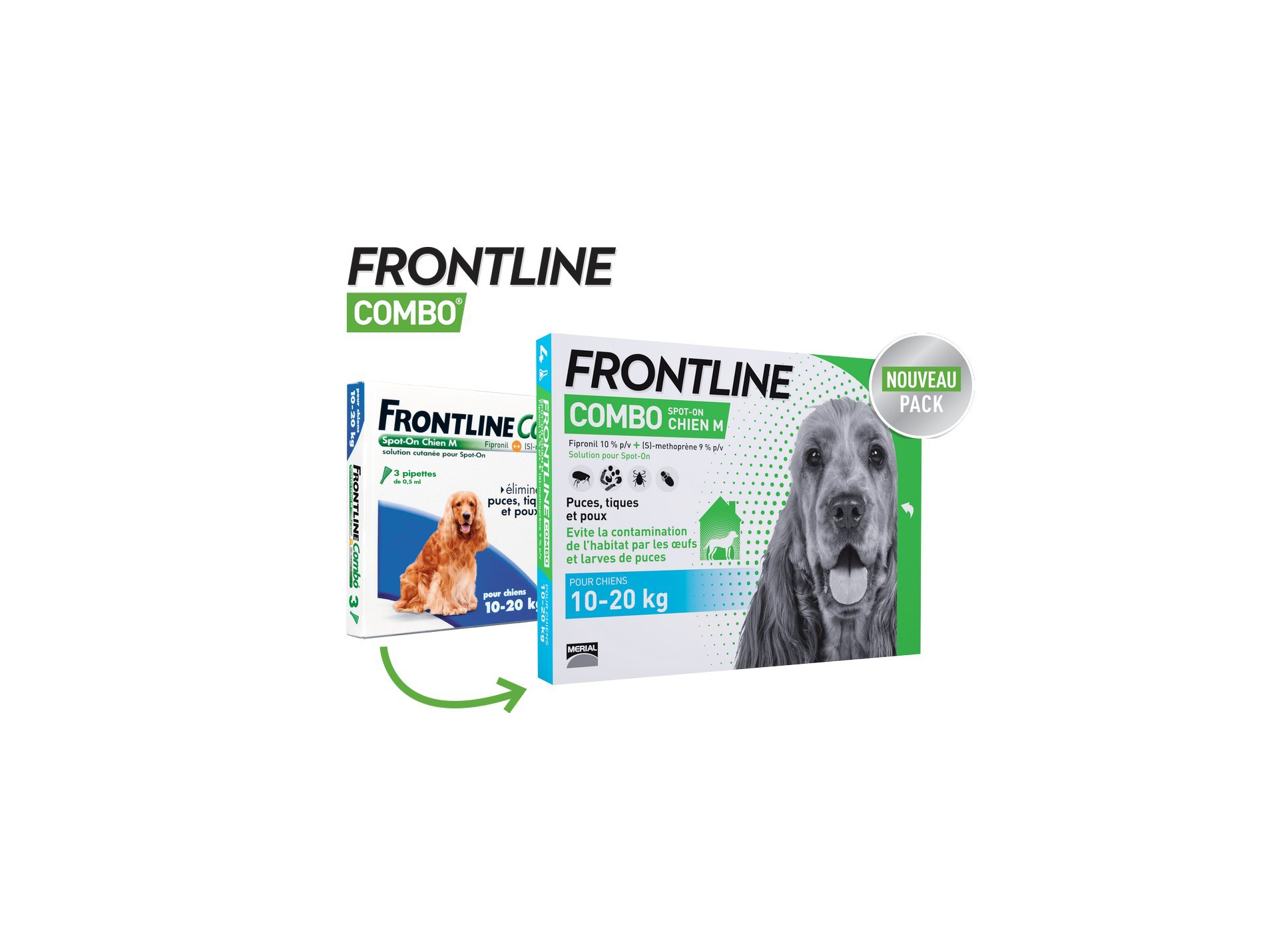 Frontline Combo chien 10-20kg 6 pipettes