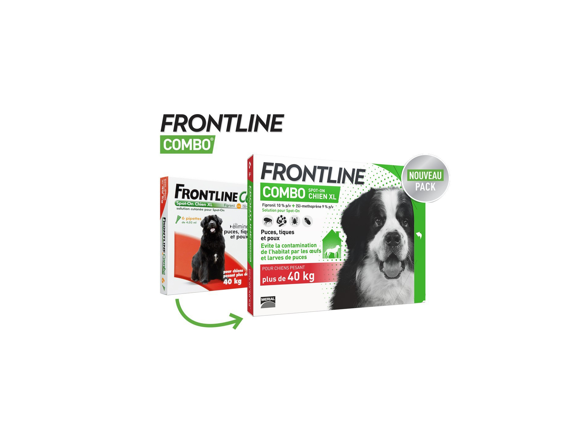 Frontline Combo chien 40-60kg 6 pipettes
