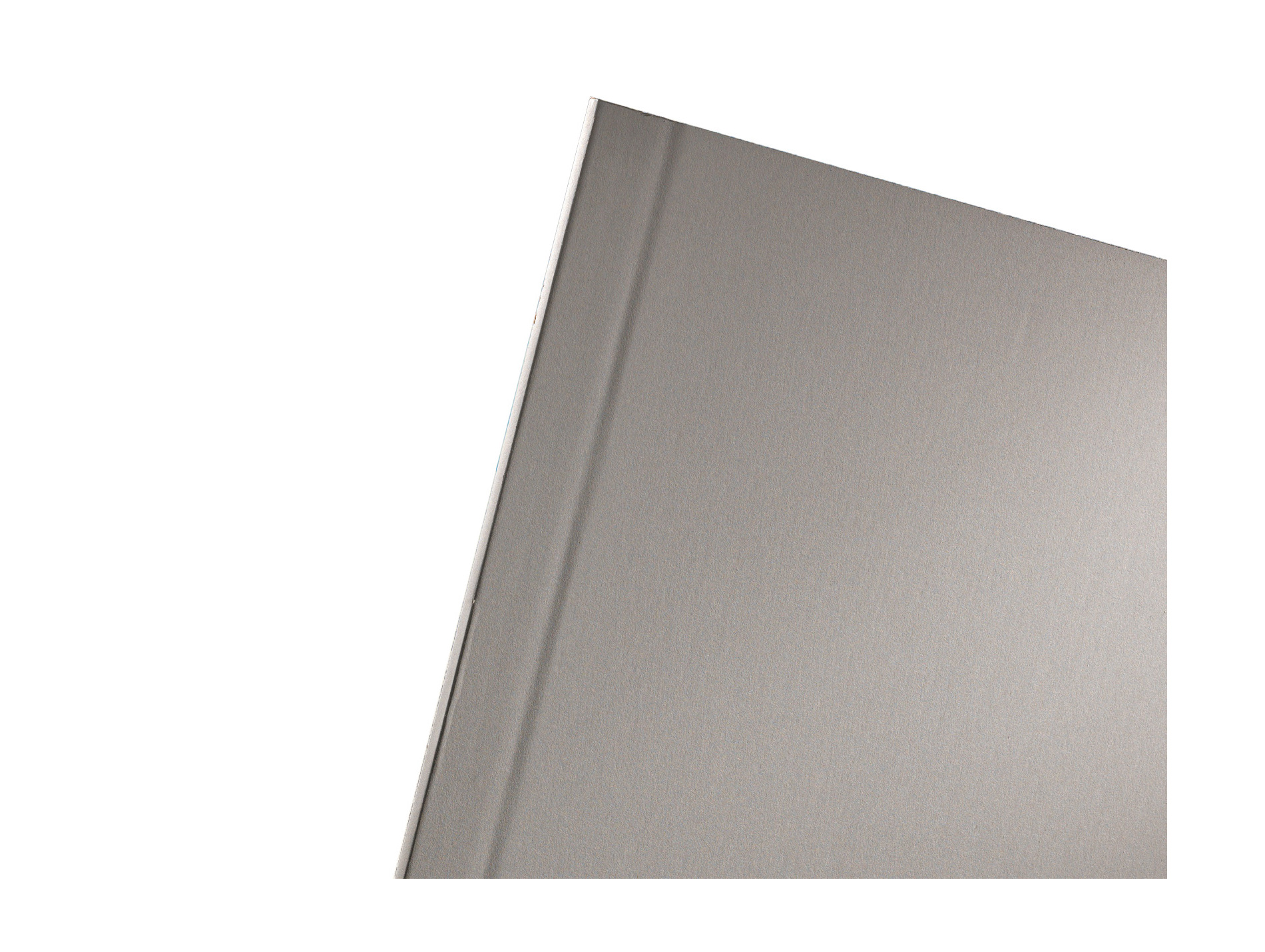 Plaque de plâtre Panelplac BA13 300x120cm