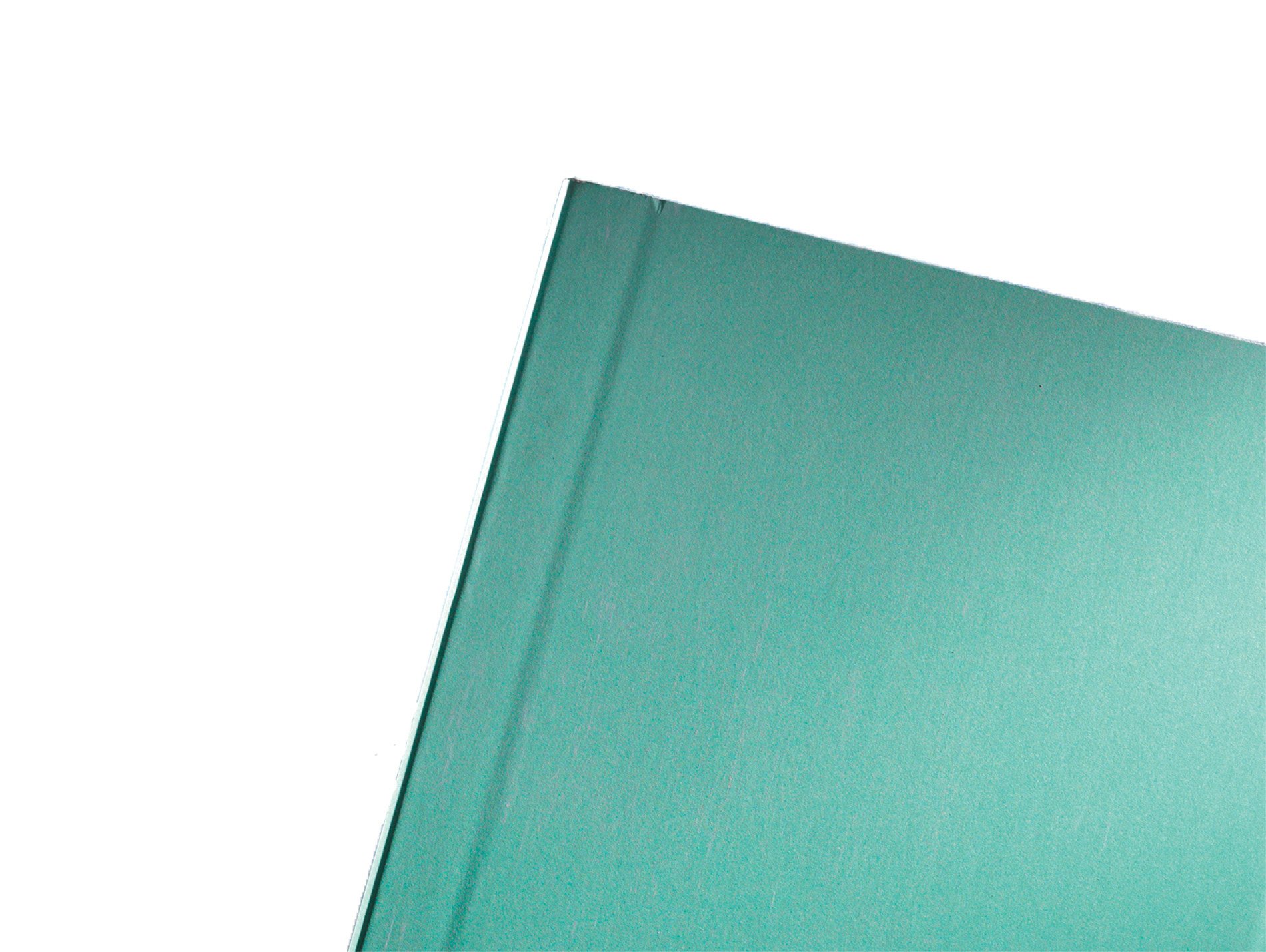 Plaque de plâtre hydro NF BA13