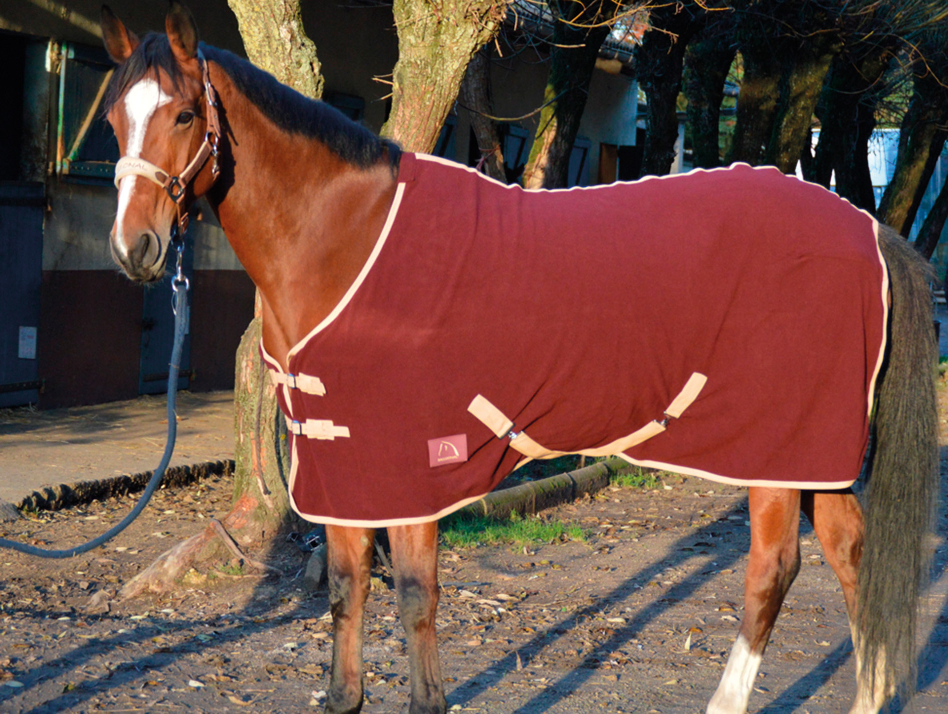 Chemise polaire 155cm bordeaux