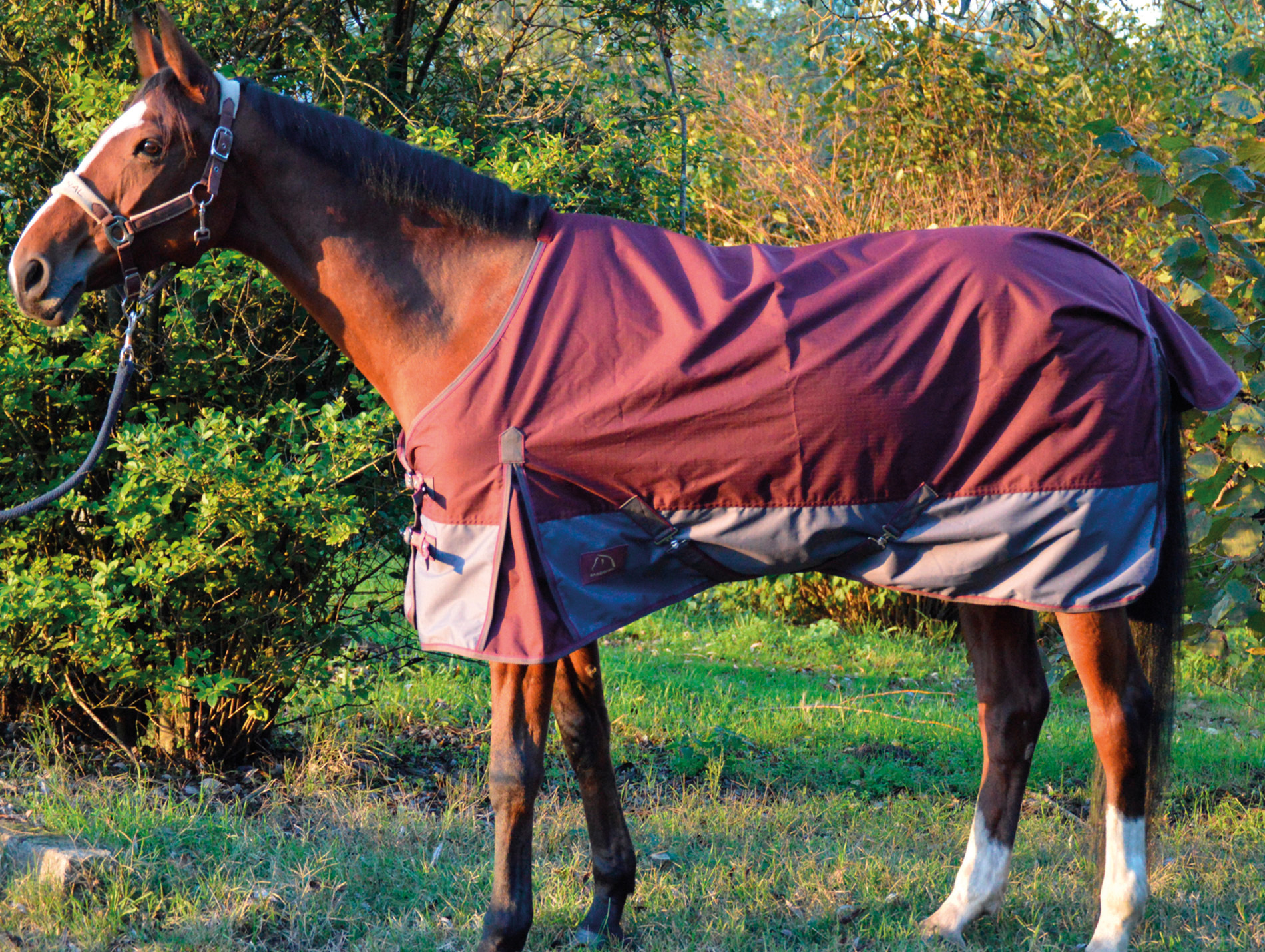 Chemise imperméable 155cm bordeaux