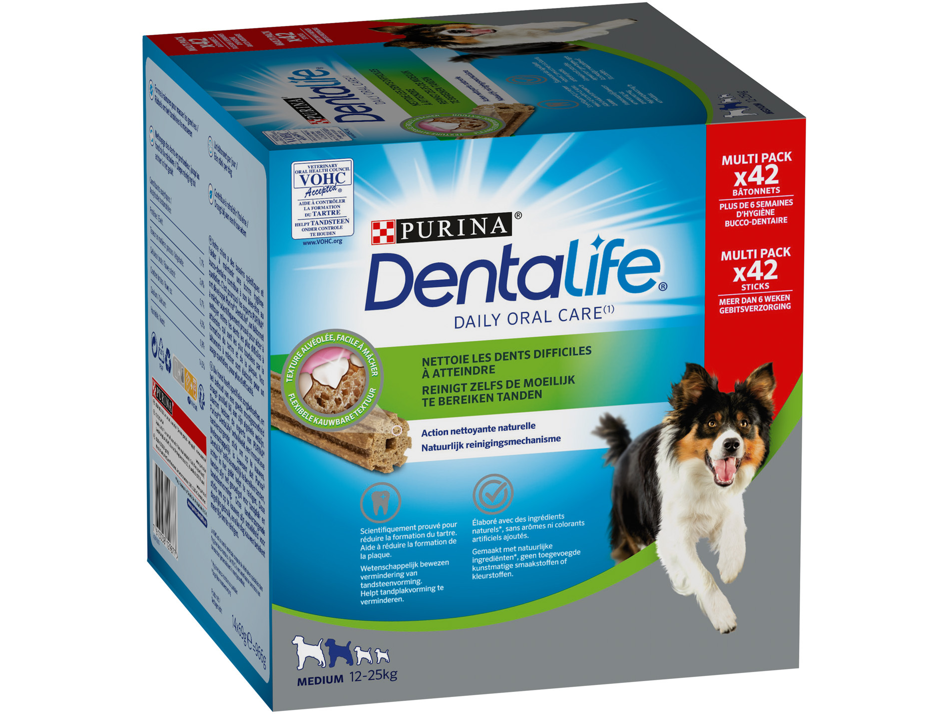 Bâtonnet à mâcher Dentalife Medium par 42