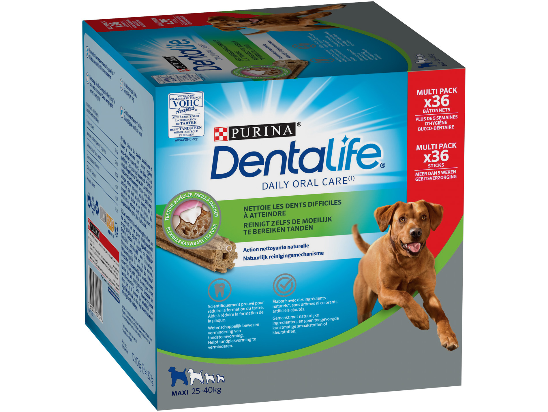Bâtonnet à mâcher Dentalife Maxi par 36